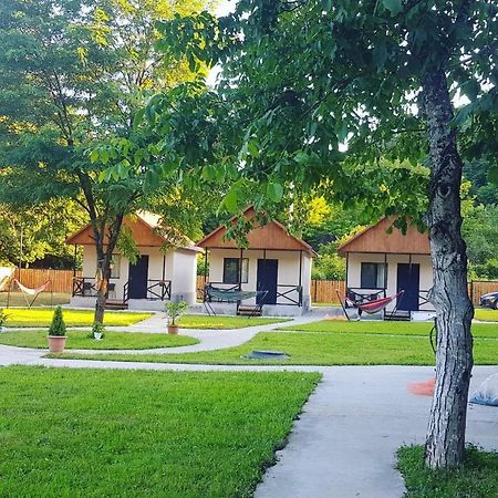 Flora Racha Villa Ambrolauri Dış mekan fotoğraf
