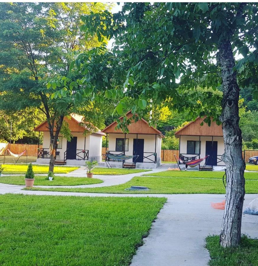 Flora Racha Villa Ambrolauri Dış mekan fotoğraf